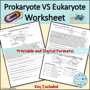 Cells Prokaryotic vs Eukaryotic Worksheet