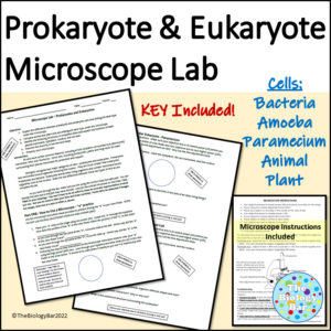 Cells Microscope Lab Prokaryote Eukaryote Comparison