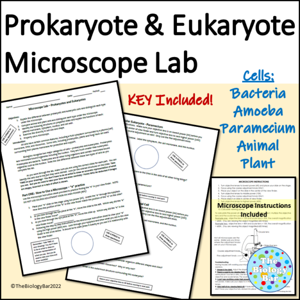 Cells Microscope Lab Prokaryote Eukaryote Comparison Made By Teachers