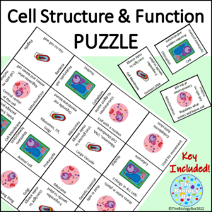 Cells Structure & Function Prokaryote Eukaryote Puzzle
