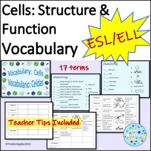 ESL Biology Prokaryote vs Eukaryote Cell Vocabulary