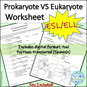 ESL Biology Prokaryote vs Eukaryote Cell Worksheet