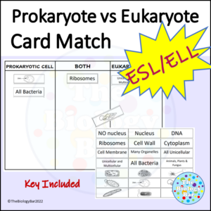 ESL Biology Prokaryote vs Eukaryote Card Sort