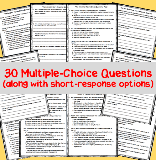 RL.6.6 - Developing Point of View | Made By Teachers