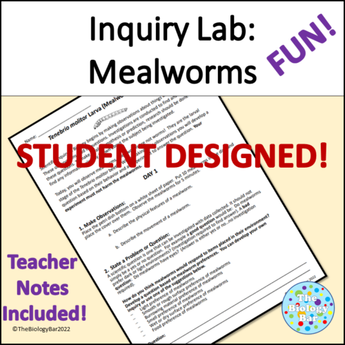 Inquiry Lab Mealworms Student Designed Made By Teachers