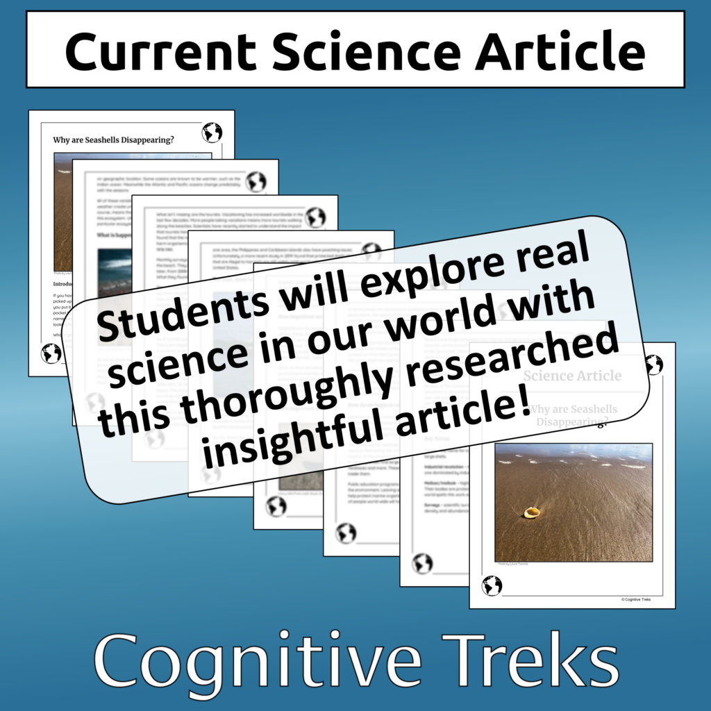Science Reading Article | Human Impact | Why Are Seashells Disappearing ...