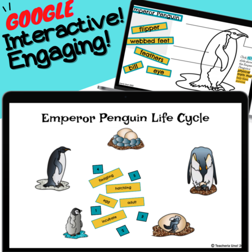 Penguins Habitat Adaptations INTERACTIVE NOTEBOOK with Text Video