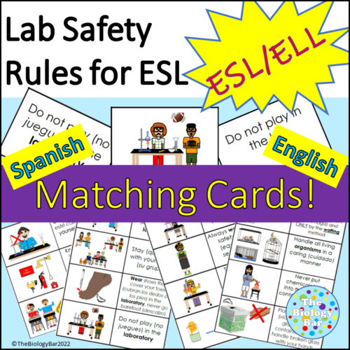 ESL Biology Lab Safety Rules Matching Cards for Spanish Speakers Made