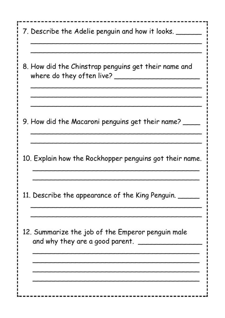 Penguin facts reading comprehension passage made by teachers