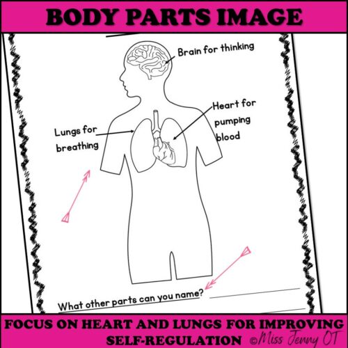 Interoception Activities for Self Regulation - Made By Teachers