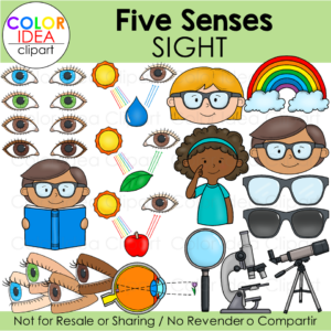 Five Senses - Sight