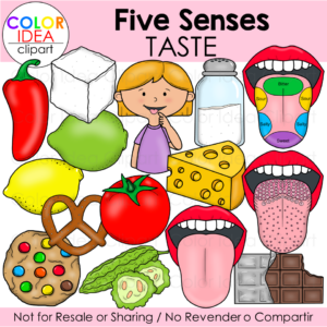 Five Senses - Taste
