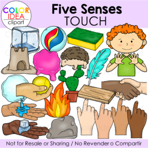 Five Senses - Touch
