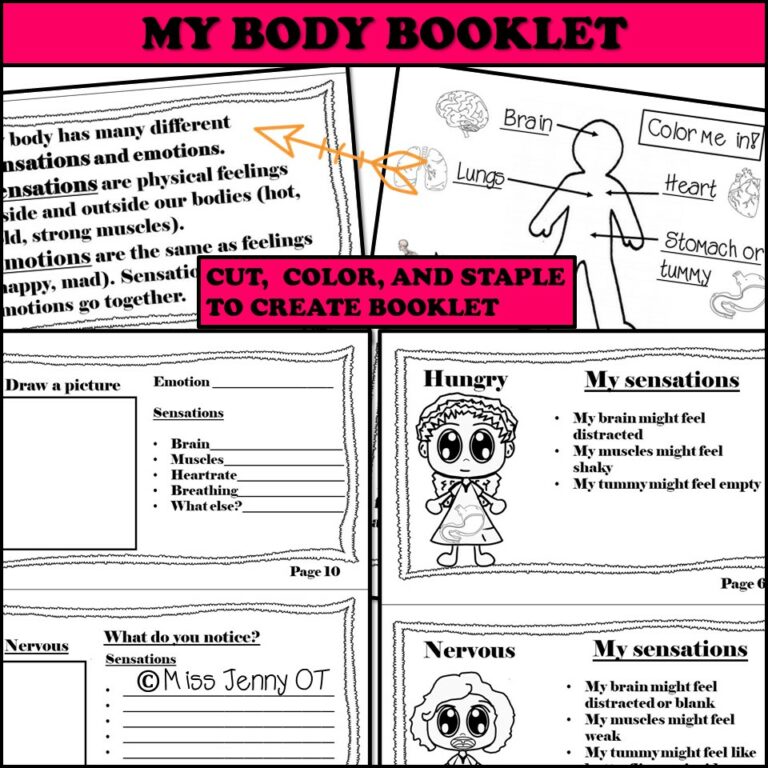Interoception and Self Regulation Activities Bundle - Made By Teachers