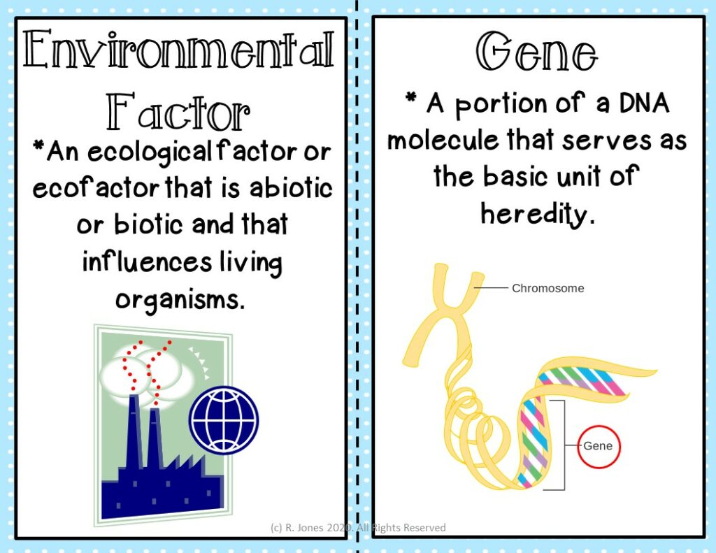 Word Wall Vocabulary Posters for All BIOLOGY Units HIGH SCHOOL 272 ...