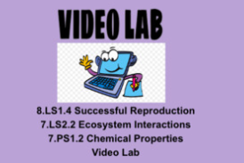 8.LS1.4, 7.LS2.2, 7.PS1.2 Glowing Bottle Video Activity OAS NGSS