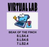 8.LS4.4, 8.LS4.6, 7.LS2.4 Beak of the Finch Video Lab