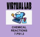 7.PS1.2 Bouncy Egg Video Lab