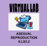 8.LS3.2 MS-LS3-2 Asexual Reproduction Video Lab