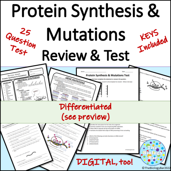 Protein Synthesis and Mutations Review and Test Modified and Digital