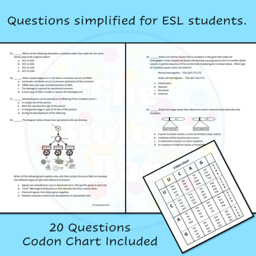 ESL and SPED Biology Protein Synthesis and Mutations Review and Test