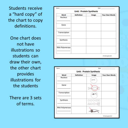 ESL Biology Protein Synthesis Vocabulary Chart Notes Guided PPT Made