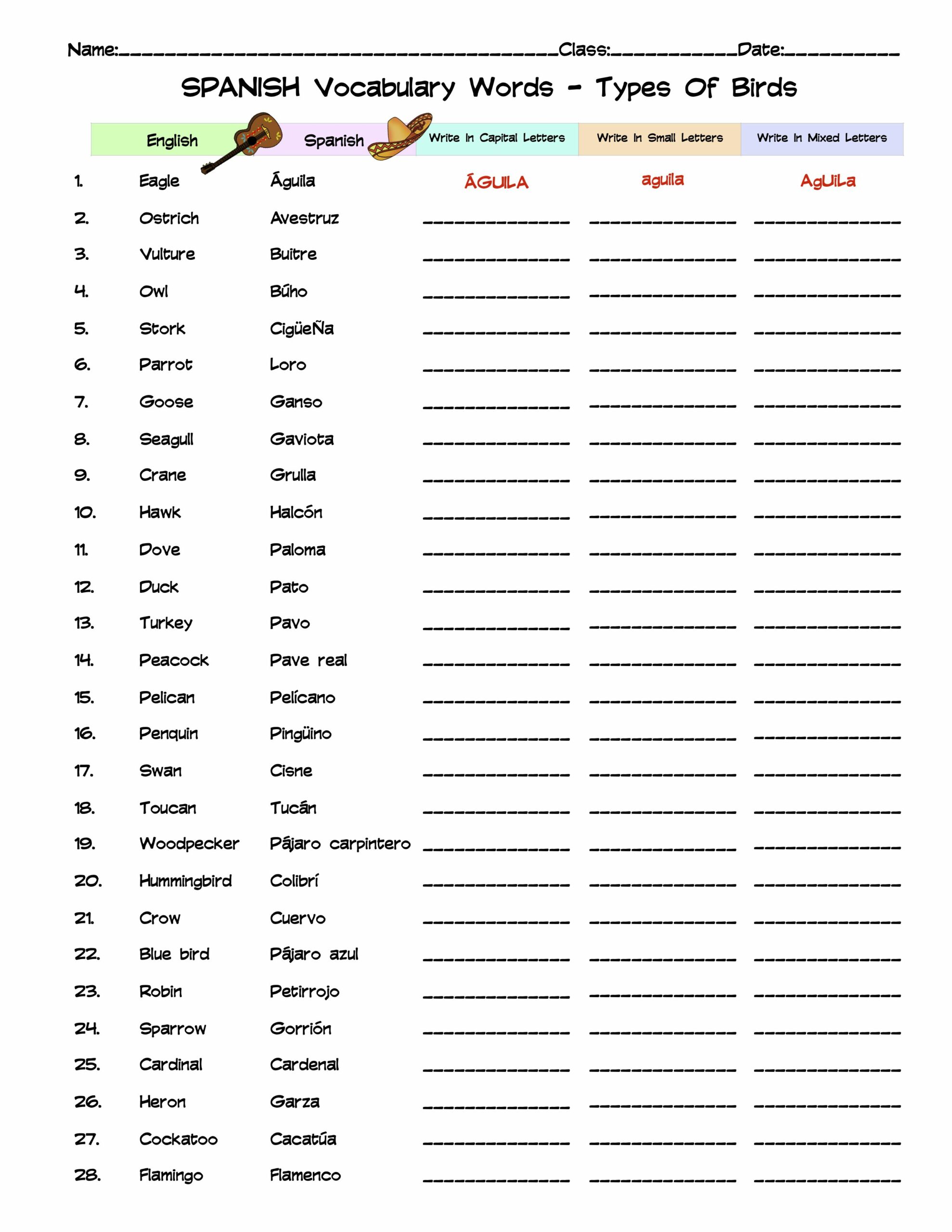 Spanish Types Of Birds Vocabulary Word List Column Worksheet Made By