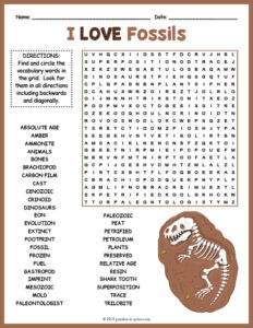 NO PREP FOSSILS - Paleontology Word Search Puzzle Worksheet Activity ...