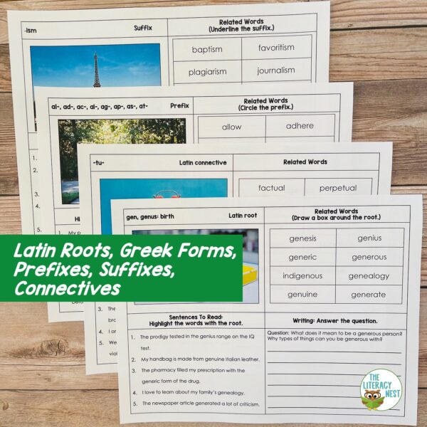 Morphology Activities Prefixes, Suffixes, Roots, Greek Forms - Made By ...