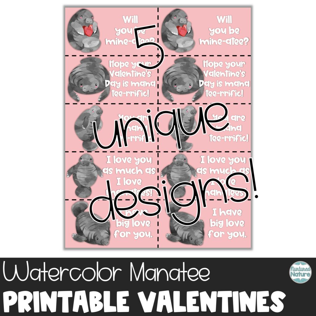 Manatee Valentine’s Day Printable Cards for Kids | Made By Teachers