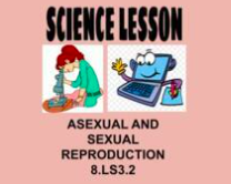 8th Science Lesson Asexual & Sexual Reproduction OAS 8.LS3.2 NGSS MS-LS3-2