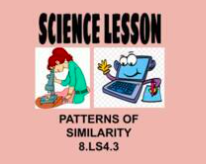 8th Science Lesson Patterns of Similarity OAS 8.LS4.3 NGSS MS-LS4-3