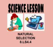 8th Science Lesson Natural Selection OAS 8.LS4.4 NGSS MS-LS4-4
