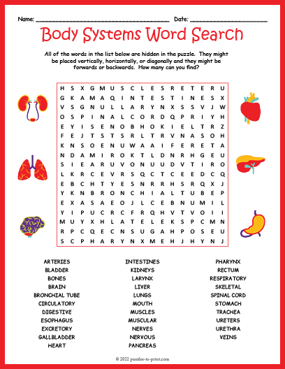 HUMAN BODY SYSTEMS Word Search Puzzle Worksheet Activity Made By Teachers