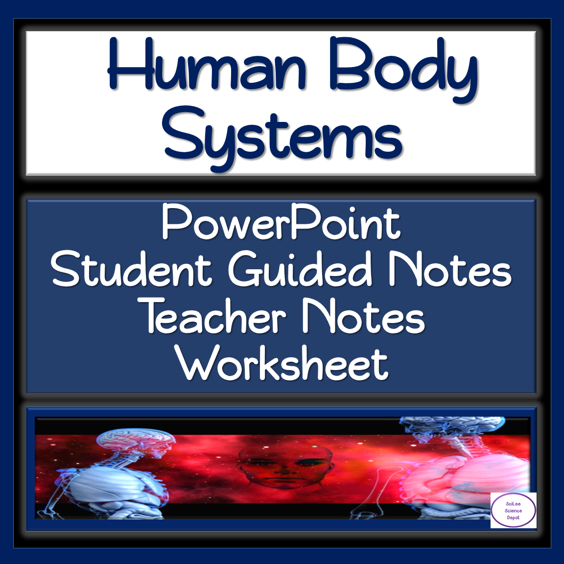 Human Body Systems PowerPoint Worksheet Made By Teachers