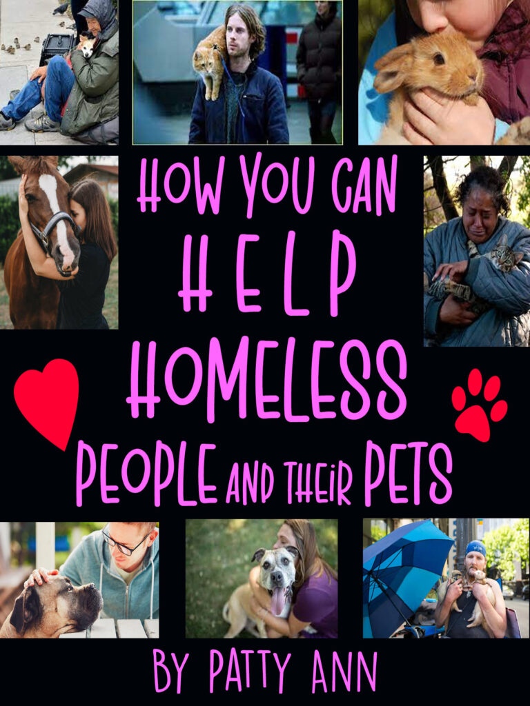 Support Homeless People with Pets Social Emotional Awareness Made