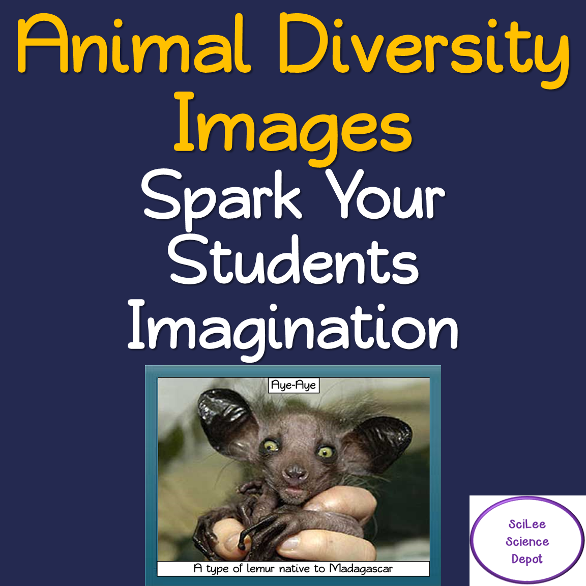 Diverse Animal Images PowerPoint