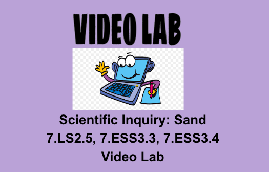 Scientific Inquiry: Sand 7.LS2.5, 7.ESS3.3, 7.ESS3.4 Video Lab