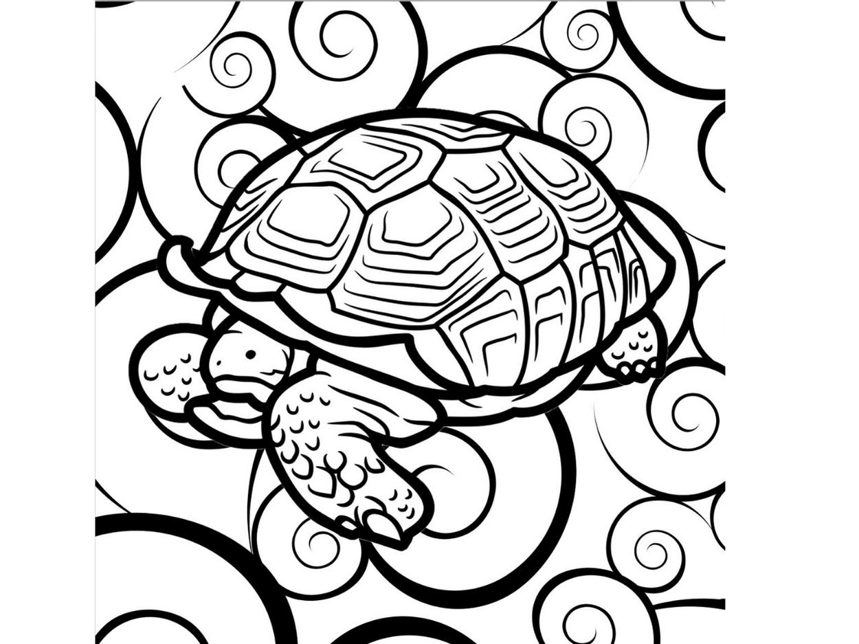 Turtle coloring book for kids a fun collection of simple abstract