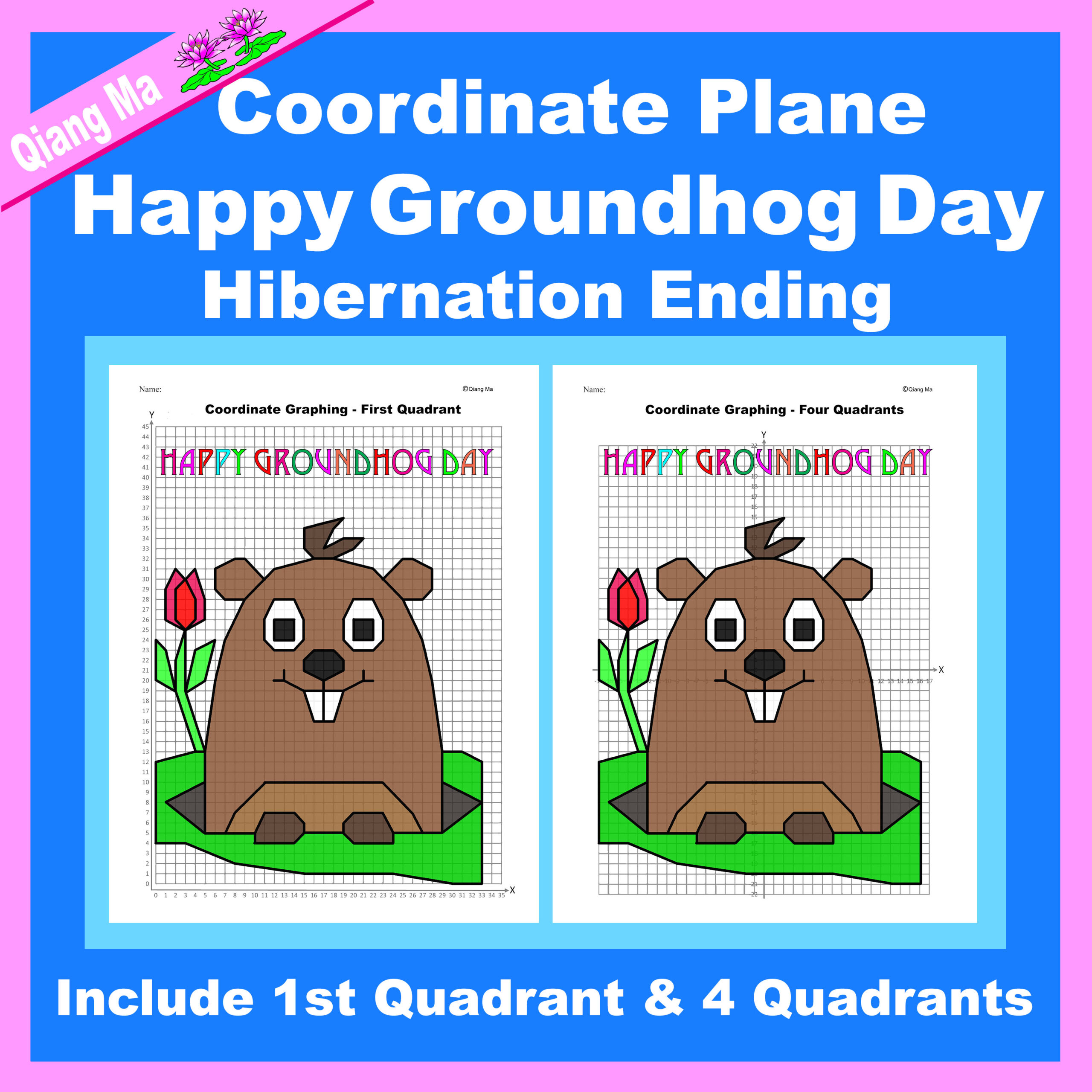Groundhog Day Coordinate Plane Graphing Picture: Hibernation Ending