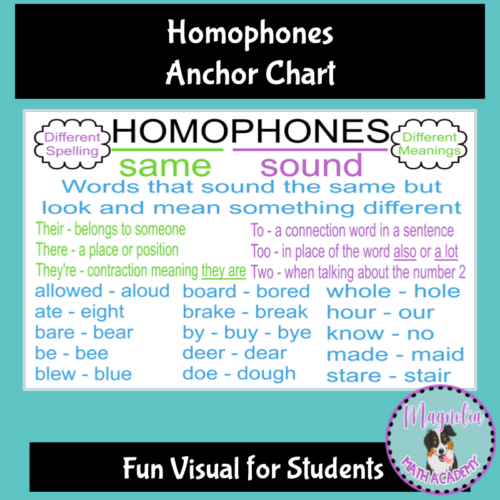 Homophones Anchor Chart Poster Made By Teachers