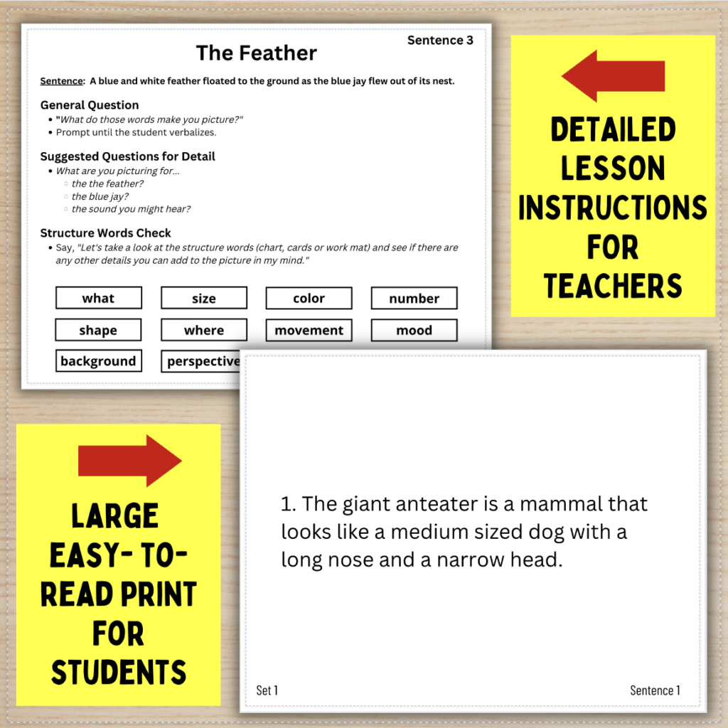 STEP 3 Visualizing from Single Sentence Imagery for Reading, Speech, & Language Made By Teachers