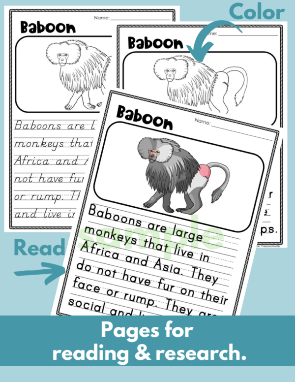 Baboon Read Write Color African animal writing activity for safari ...