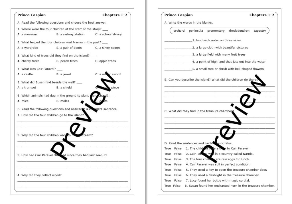 C. S. Lewis "Prince Caspian" worksheets | Made By Teachers