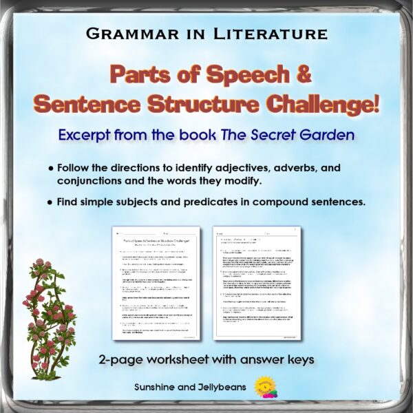 Grammar Challenge! Parts of Speech and Sentence Structure Secret