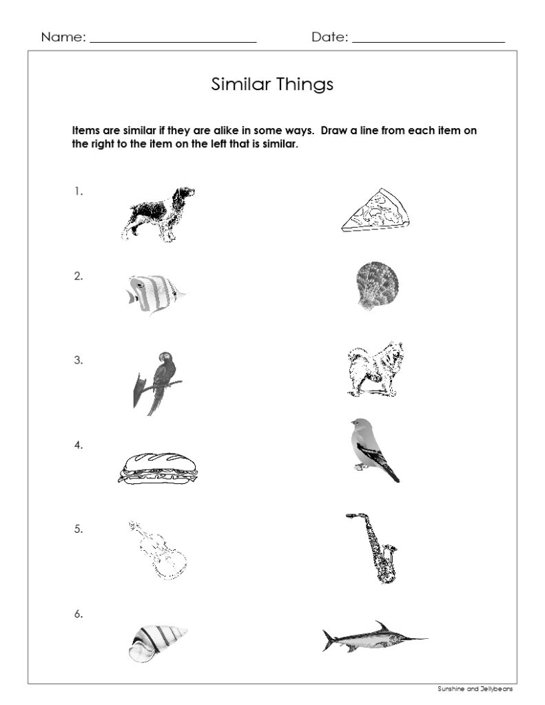Similar Things and Categories - 4 worksheets - Matching and Sorting ...