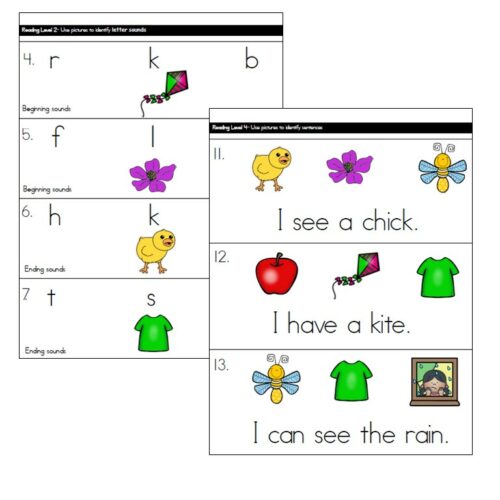 ESOL Assessments Kindergarten Print and Digital Made By Teachers