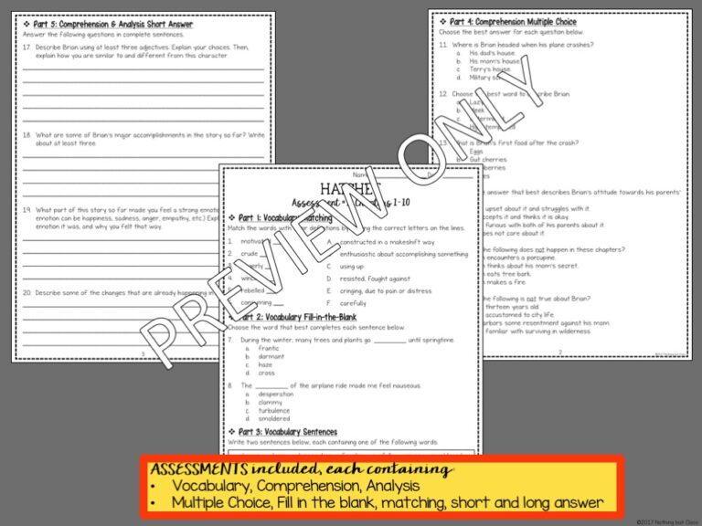 Hatchet Novel Study Unit | Comprehension Questions with Activities and ...