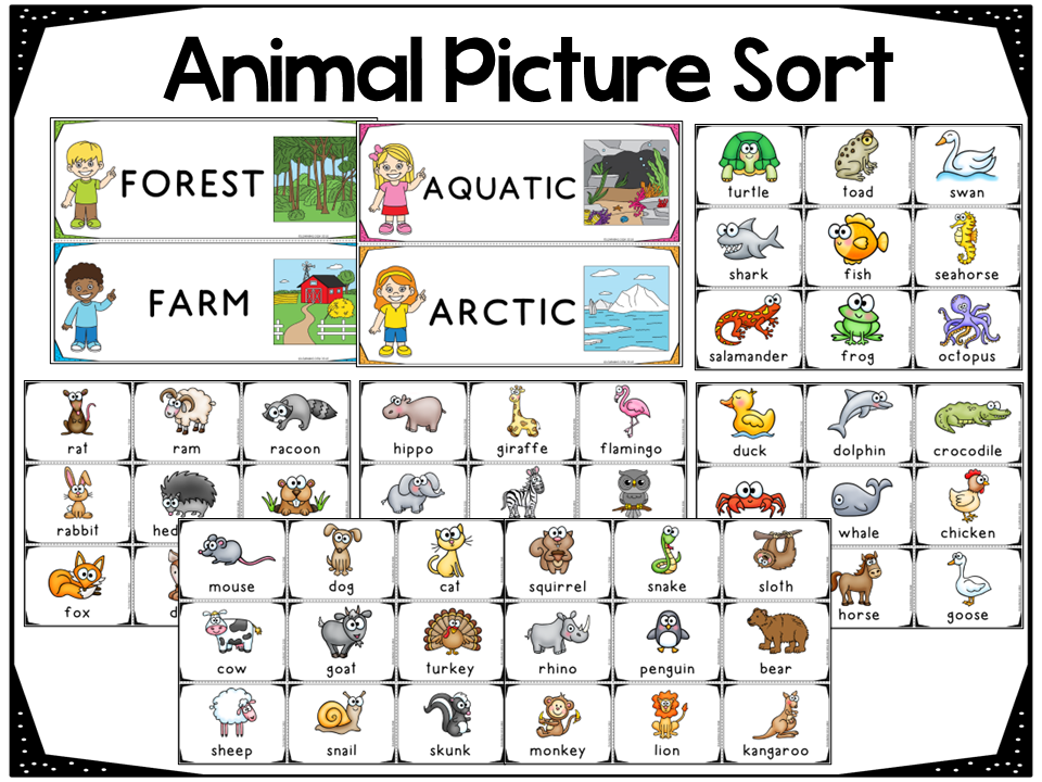 Animal Habitats Sorting and Worksheets Made By Teachers