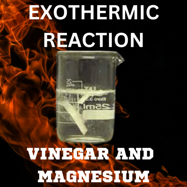 Chemistry Exothermic Reaction Magnesium and Vinegar Made By Teachers